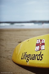 Lifeguards Rule!
