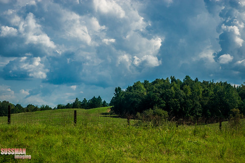 trees sky clouds rural alabama farmland hills valley naturegrass thesussman sonyalphadslra550 sussmanimaging