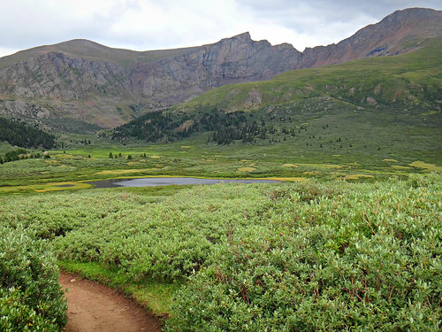 colorado trails hikes hiking rockymountains frontrange bierstadt lakes wilderness american mountains peaks mountbierstadt sawtooth hikingtrail treeline timberline us unitedstates america landscape clearcreekcounty usa sandraleidholdt mountainside hill