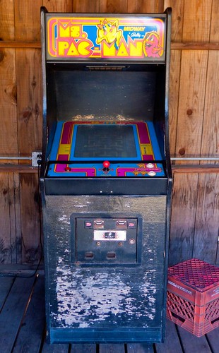 trip original vacation game zoo video walk arcade machine panasonic pacman ms hayward wilderness wi lx3
