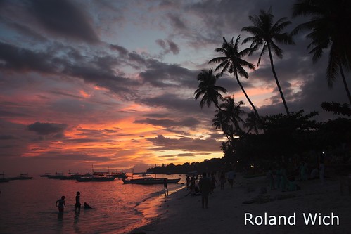 sunset beach palms asia south philippines palm east bohol southeast panglao philippinen alona