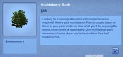 Huckleberry Bush
