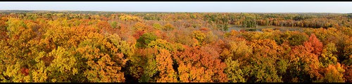 park autumn trees color tower fall nature minnesota forest fire flickr heights alton itasca d800 panorma itascastatepark