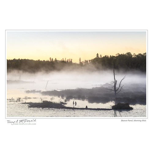 morning autumn mist lake ontario canada sunrise landscape dawn scenery timing 105mmmicronikkor haliburtonhighlands nikond800e barklakeleadershipoutdoorcentre