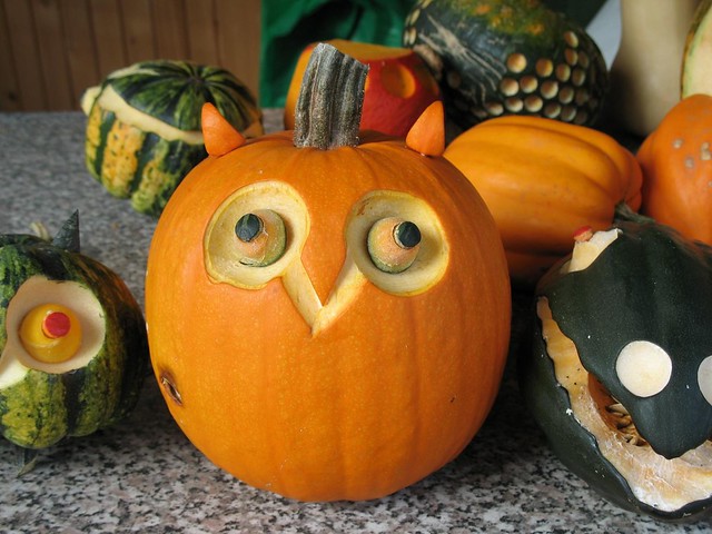 Pumpkin Owl - a gallery on Flickr