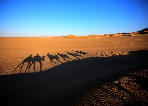 trek canon desert dunes camel chinadigitaltimes gobi gansu dunhuang mingsha 5dmarkii