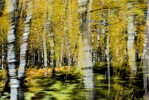 abstract motion fall icm alpineloop aspentrees mounttimp karenandmc utahblur