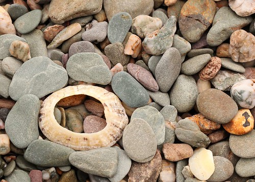Stones And Shell by Netkonnexion, on Flickr