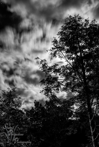 longexposure sky bw moon tree silhouette clouds stars maine naples tamron2875mm sonya200 sharedperspectivesphotography