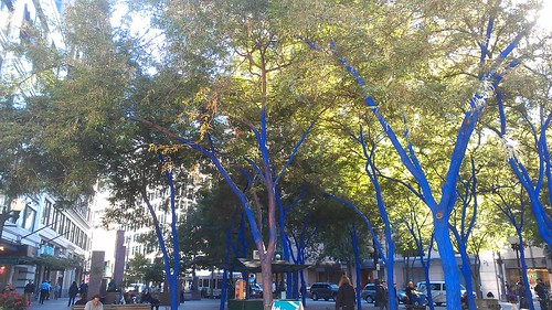 The blue trees didn't die after all by christopher575