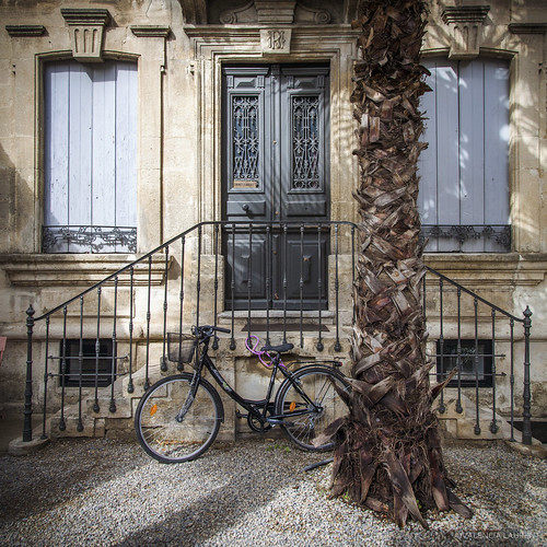 door old building closed entrance montpellier palm cycle porte lawyer velo vélo batiment avocat fermer batisse