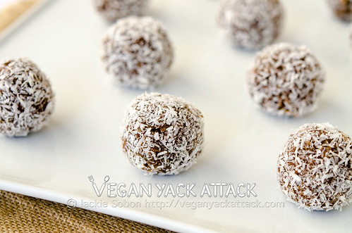 Delicious and easy to make, no-bake, Cocoa-nut Quinoa Bites! Make these ahead of a trip, hike, or workouts to have these healthy snacks on hand.