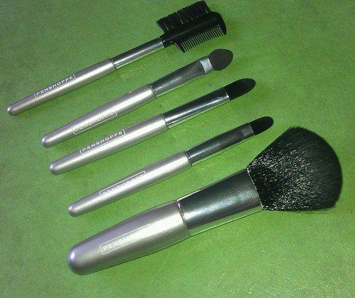 Penshoppe makeup brush set