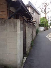 朝散歩 (2012/9/3)
