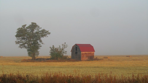 morning tree fog barn washington farm september fields canonpowershot marilynhassler omadarlingphotography