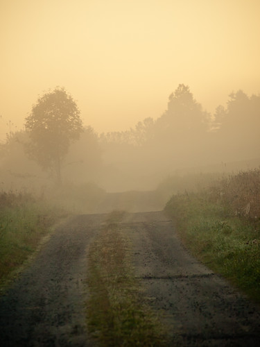 road morning autumn trees sky mist fall grass misty fog sunrise sweden foggy swedish gravel