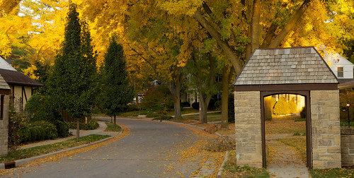 road street morning trees fall leaves arch madison wi madison365 canonefs1585mmf3556isusm