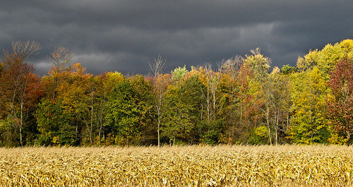 fall nature landscape huroncounty