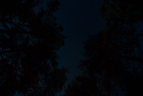 wood blue camping autumn trees sky white black night stars flora michigan wideangle september constellations hercules draco 2012 westbranch altair deneb campgrounds cygnus d3000 beavertrailcampground