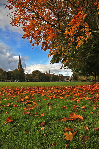 autumn tree fall grass leaves canon mall season cathedral sigma northernireland courthouse deciduous 1770 ulster armagh 60d