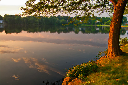 summer tree reflections massachusetts wakefield sunrisesunset lakequannapowitt
