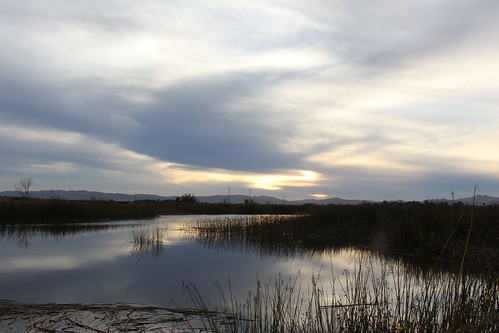 sunset northerncalifornia wetlands suisuncity solanocounty suisunmarsh lawlerranch