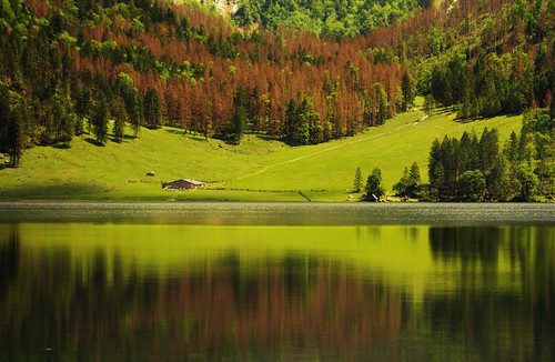 sun lake mountains alps green bayern bavaria see berchtesgaden nationalpark alm grün alpen sonne obersee königssee berghaus