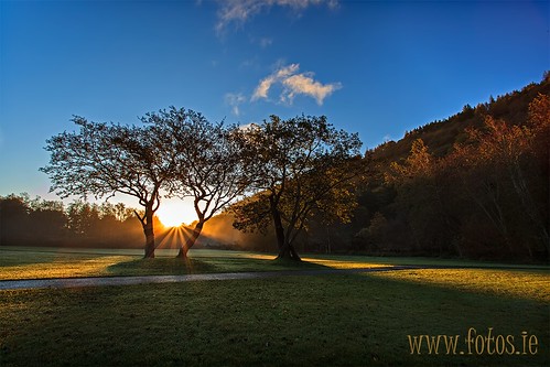 county autumn trees ireland color sunrise canon dawn glendalough software co pro nik wicklow 1740 efex 5dmkii