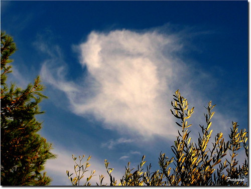 sky cloud cielo sicily augusta nube sicilia francesco 2012 gavioli canonsx10is fragavio