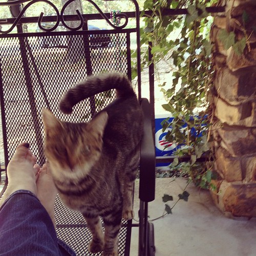 Dharma is hanging out with me on the porch.