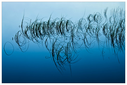 lake abstract water reflections conradharley
