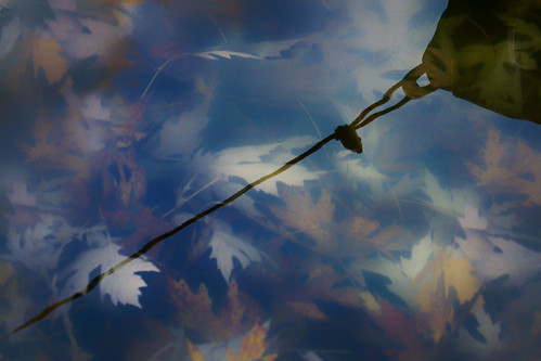 texture water leaves reflections pond october collingwood hss richardmartinmasterclass