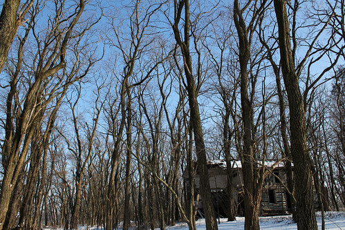 county trees ohio house snow abandoned overgrown forest log historic steeple frame bloom seneca township spitler braced notching