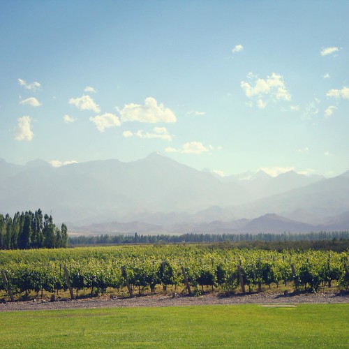 argentina mendoza vineyards valley viñedos tunuyán valledeuco mbm55 bodegassalentein i♥squareformat