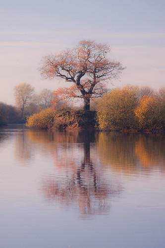 nottingham autumn reflection nature pond oak colours reserve attenborough nottinghamshire coneries