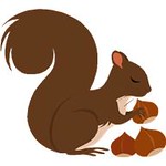 squirrel nut job