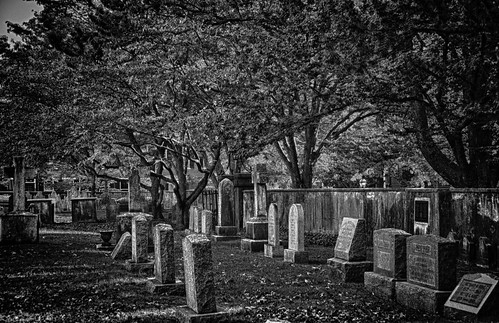 blackandwhite cemetery newcastle de batterypark nikon18200vr nikond300 photowalk2012