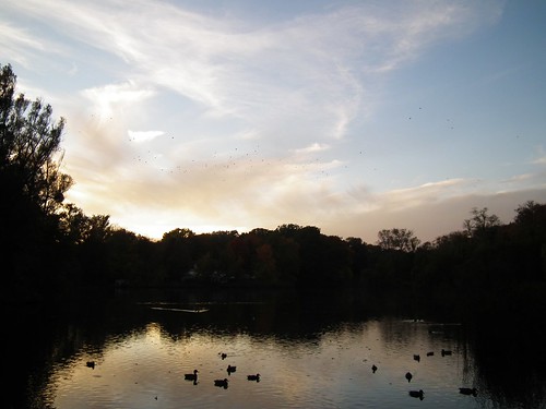 city sunset sky reflection clouds duck pond poland poznań sołacz