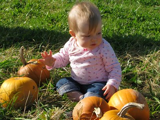 in the pumpkins