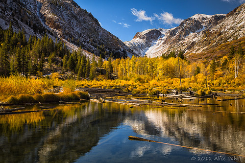 california ca autumn trees usa mountain lake snow reflection fall nature outdoors golden pond bluesky idyllic tranquil easternsierra
