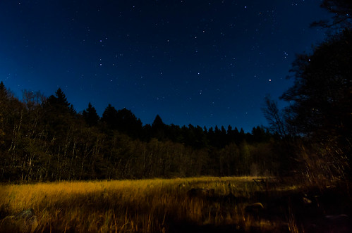 longexposure moon night forest stars landscape nikon nightscape sweden meadow moonlit sverige archipelago skärgården roslagen äng singö d7000 strandäng sigma175028os