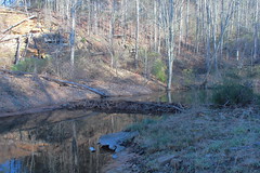 The Beaver Dam
