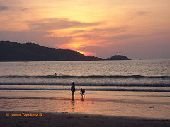 Sunset Patong Beach, Phuket, Thailand - 3391