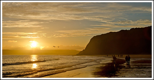 sunset sea beach golden bay sandy devon