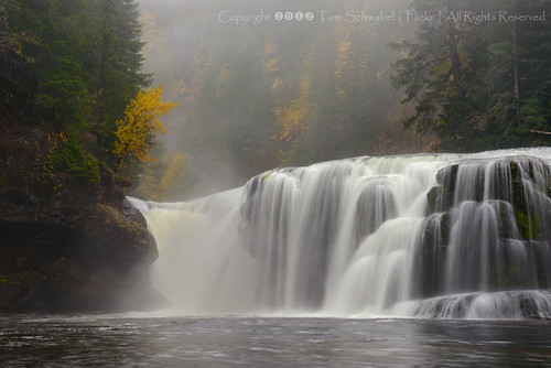 autumn tree water fog river waterfall washington seasons falls tomschwabel giffordpinchotnationalforest lowerlewis