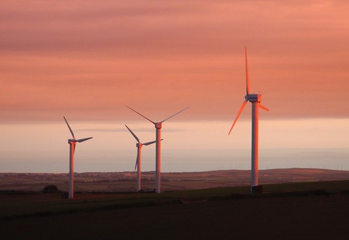 pink sunrise windmills outtake carland 2013