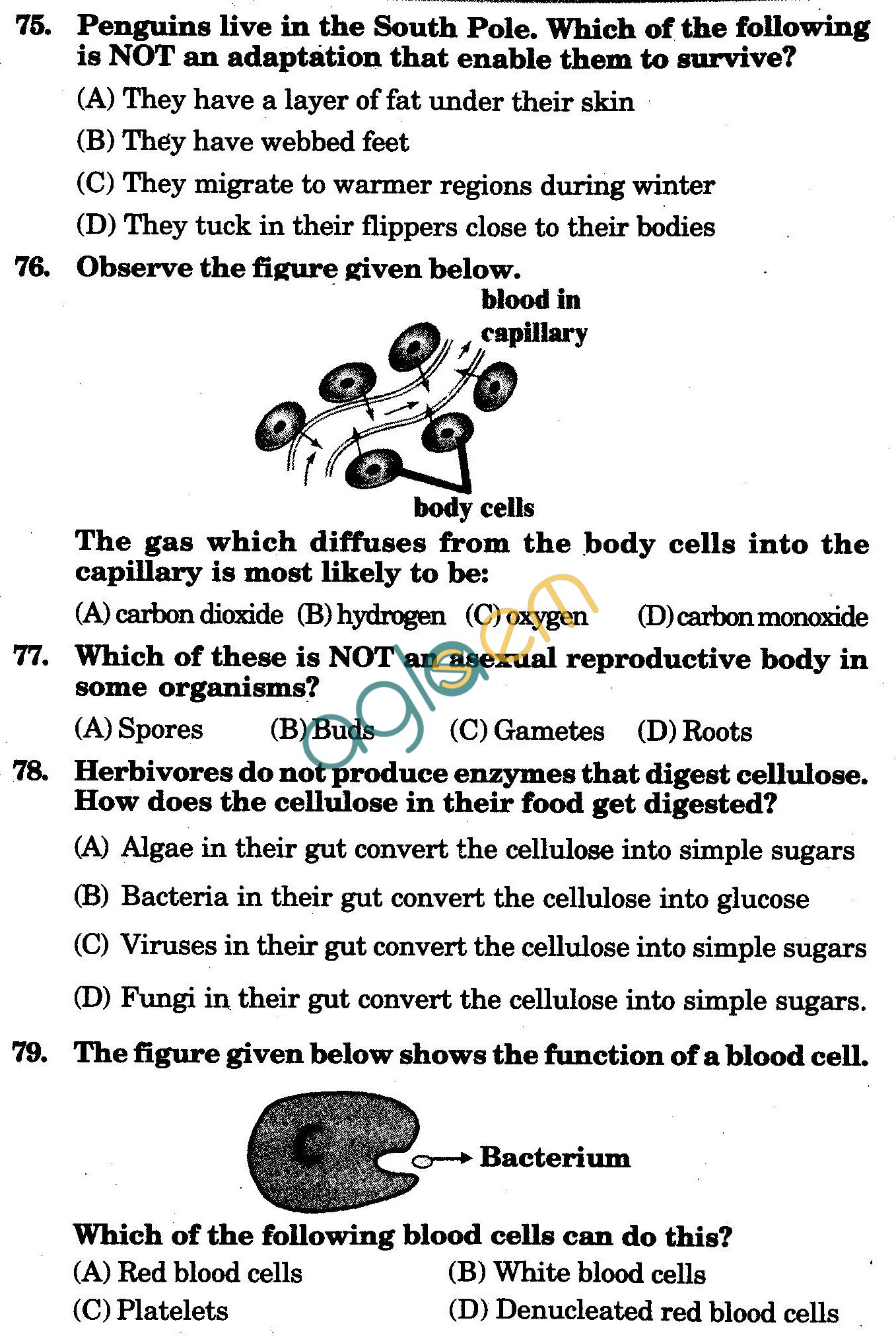 NSTSE 2010 Class VII Question Paper with Answers - Biology