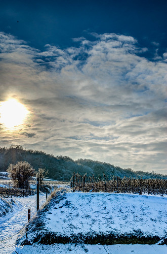 pentax champagne vineyards neige vignes hdr marne vignobles k30
