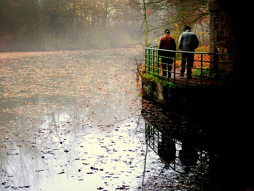 mist france fall fog canal walk edge promenade lorraine metz jouyauxarches mygearandme mygearandmepremium photographyforrecreationeliteclub