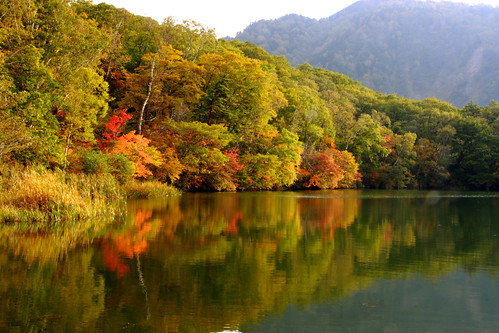 autumn lake nature japan landscape